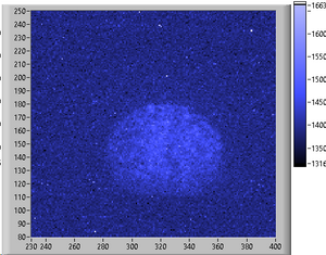 p01V600kHz.png