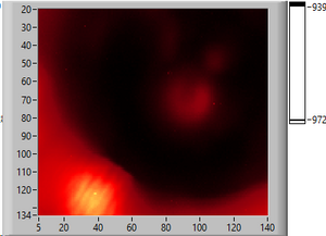 1st_MCP_1.png